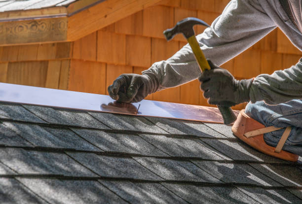 Best Storm Damage Roof Repair  in Mount Olive, AL