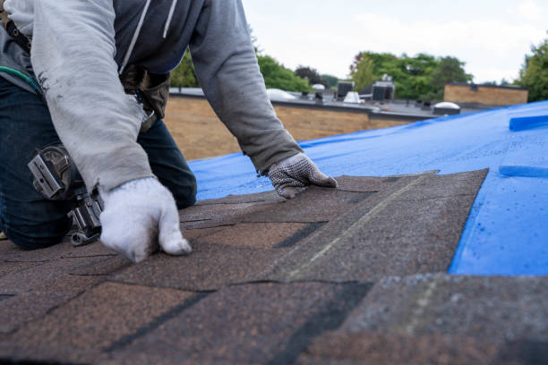 Best Rubber Roofing (EPDM, TPO)  in Mount Olive, AL