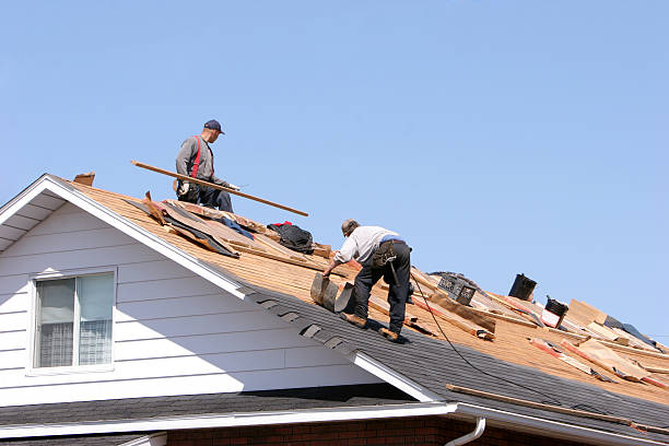 Best Emergency Roof Repair Services  in Mount Olive, AL
